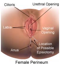 Vagina Opening After Birth 100