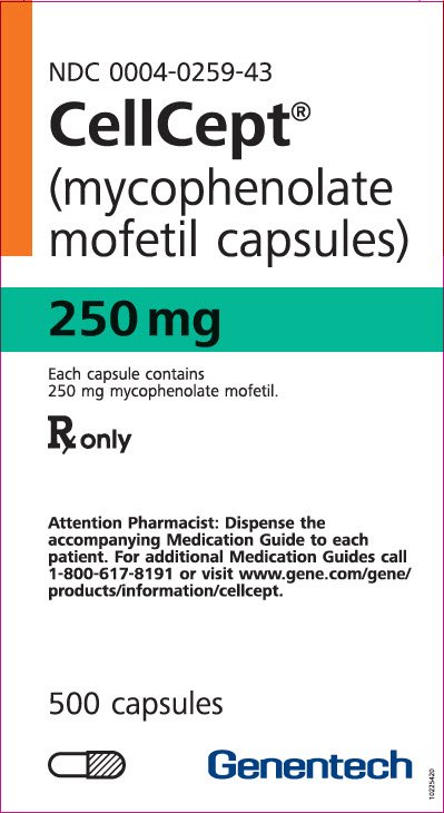 cellcept prescription medication